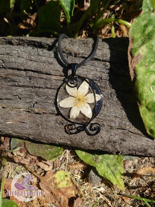 Bosanemoon ketting